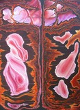 by Tony Durrant