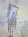 by Darlene Foster
