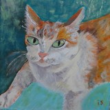 by Irina Stroup
