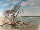 by Laraine Hoffman