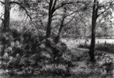 by Corne Akkers