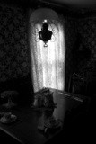 by Scott  Alexander Jack