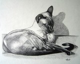 by John Houle