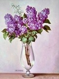 by Elya Peker