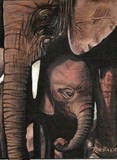 by Renata Cavanaugh
