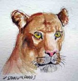 by Paul Sandilands
