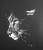by Anne Kelty