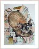 by Gina Hall
