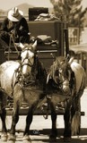 by CowGirlZen Artworks