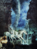 by Melanie logan