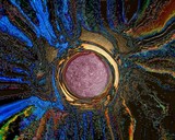 by Carl Huffman