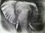 by Greg Cook