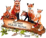 by Terri Walker