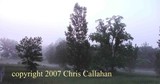 by Chris Callahan