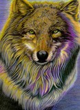 by Margaret Platt