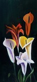 by Judith  webb