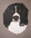 by Joanne Simpson-Connor
