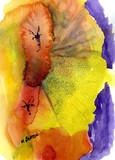 by Marilyn Barton