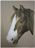 by Kathryn Lewis