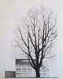 by alisdair small