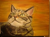 by Julia Robson