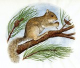 by Tricia Newell