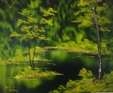 by Barbara Furlong