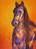 by Wendi Evans