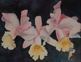 by Tina Davis
