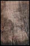 by Lior Goldenberg