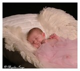 by Brighter Image Photography