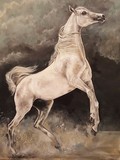 by Agnieszka Henne