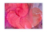 by Kathy Morton-Stanion