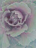 by Bonnie Haversat