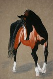 by Michele Turney