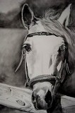 by DIANE CHILSON