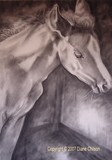 by DIANE CHILSON