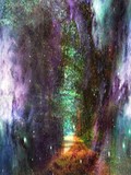 by karie Miller