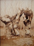 by Juan Carlos Gonzalez