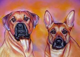 by Adele  Beverley