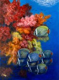 by jennifer  belote
