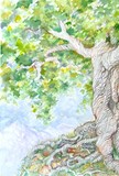by Jane  Priser