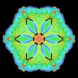 by Pat Fatta