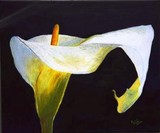 by Bruce Combs