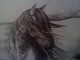 by Vivian Haworth