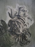 by Anna  Girgis