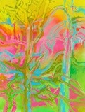 by Brooke McGowen