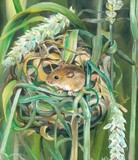 by Wendy Lewis
