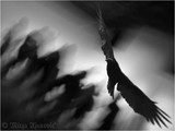 by MIRZA AJANOVIC