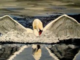 by Mary Arneson